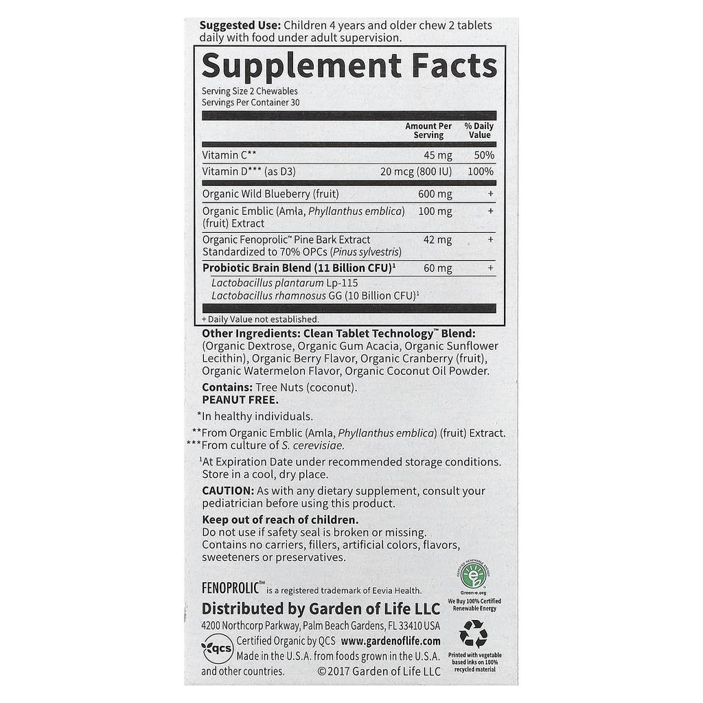 Dr. Formulated Brain Health, Attention & Concentration for Kids, Organic Watermelon Berry, 60 Tasty Chewables