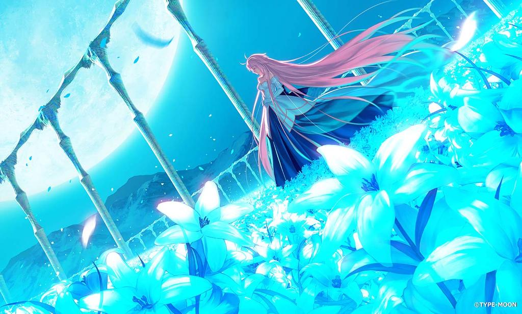 Tsukihime кусок синего стекла Switch -Луна- -