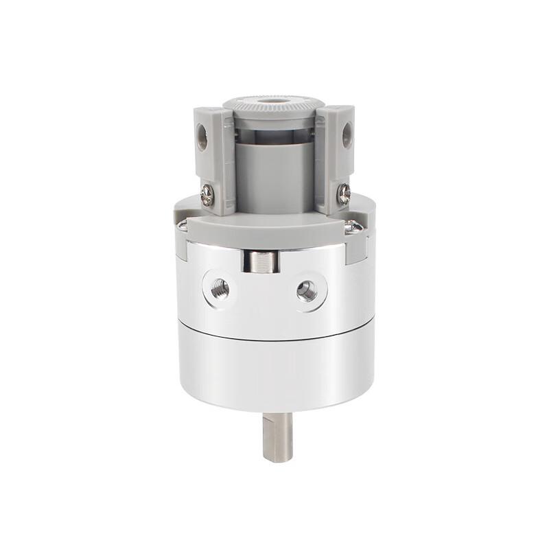 XINGGUAN Vane Type Rotary Cylinder