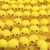 Easter Chick Ornament Yellow Cotton Ball Chicken Fluffy Chick Decoration for Home Office Easter Party Easter Basket Filler