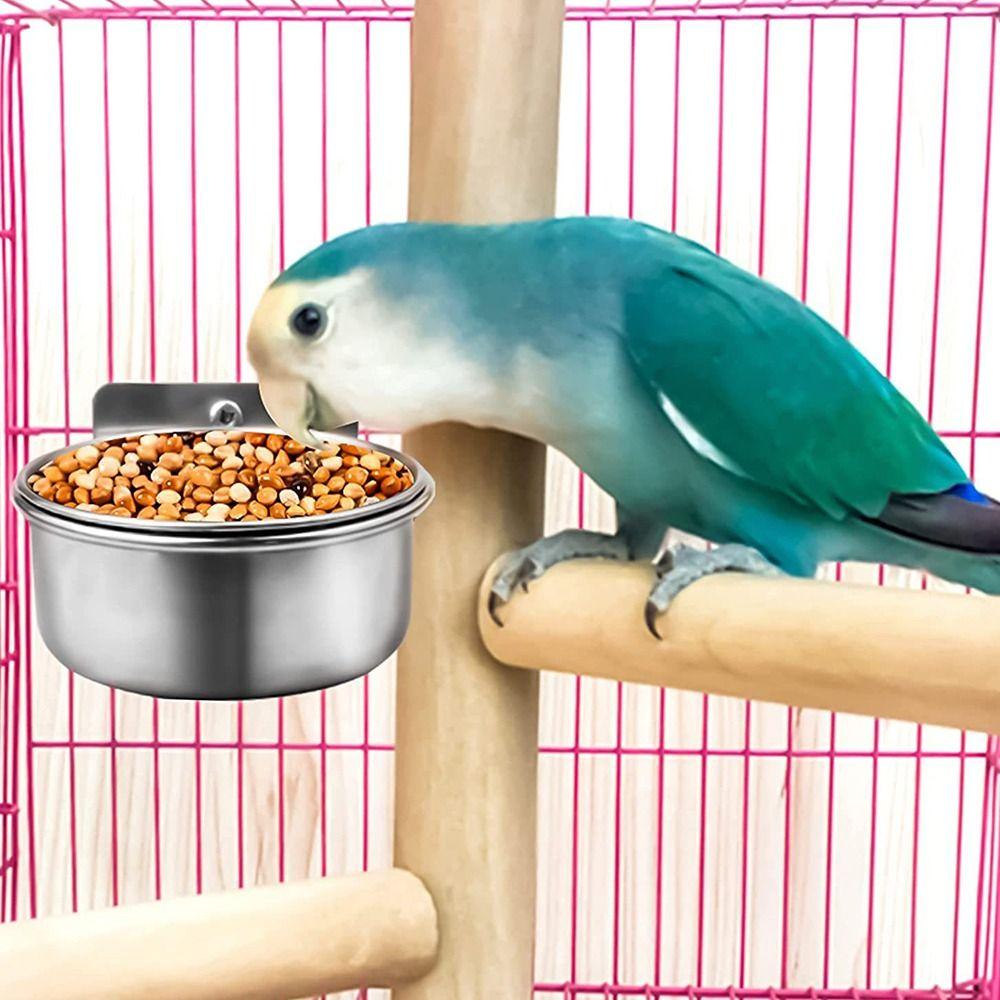 Steel Anti-gnawing Pet Activity Food Box Bird Food Cup Food Water Feeding Pet Feeder Bird Feeder