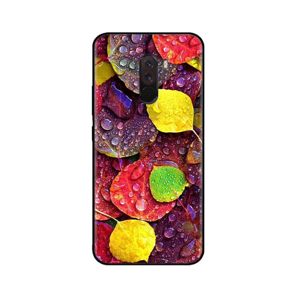 Phone Case For Xiaomi Pocophone F1 Global Case Pocofone F1 Silicone Soft TPU Back Cover For Xiomi Poco F1 Case Black Bumper