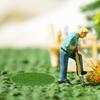 5 шт. Искусственный мох Высокий реализм Зеленый Декоративный Круглый Коврик для Микроландшафта для Комнатных Растений Суккулентов Бонсай Садовый Декор