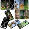 Deer Hunting buck Cover for Samsung Galaxy A25 A37 A57 A12 A14 A31 A41 A50 A51 A70 A71 A72 A21S A04 M15 Note 20 9 8 10 Case