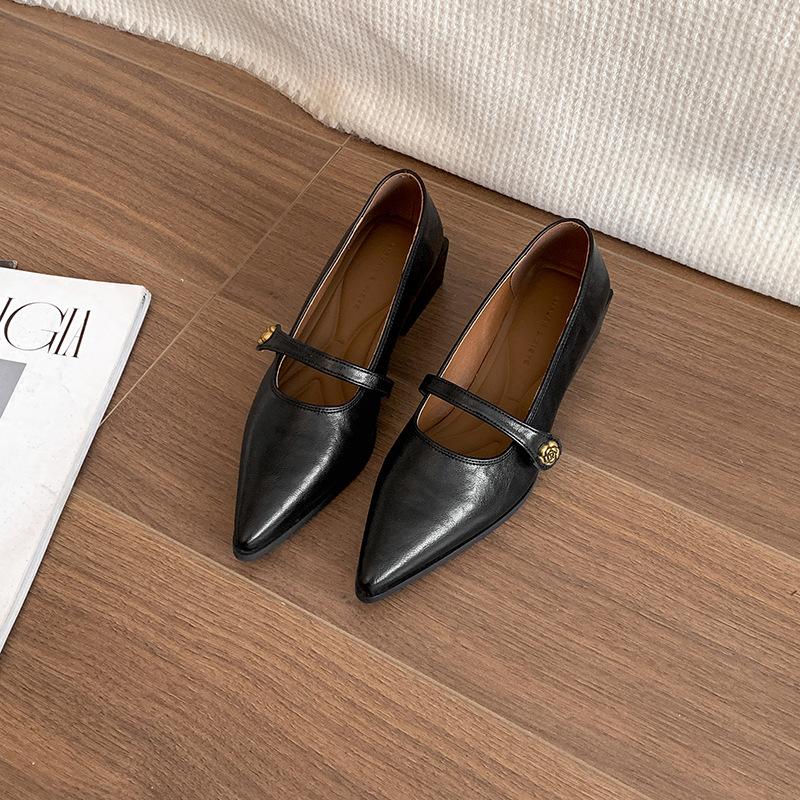 Модные ретро-туфли с заостренным носком и толстым каблуком, женские, весна-осень 2025 года, французские туфли Мэри Джейн, маленькие кожаные туфли