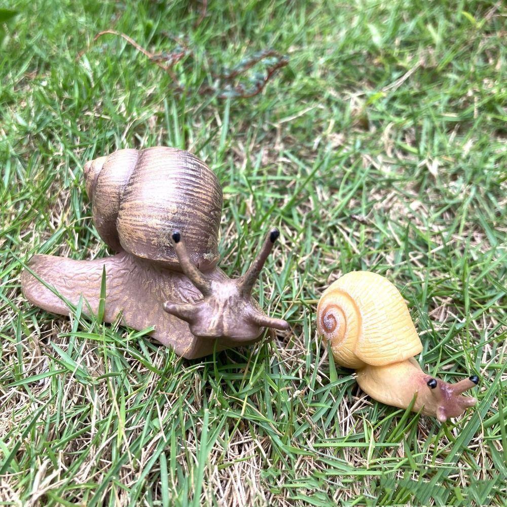 Cognitive Puzzle Science Education Snail Model Garden Decoration Simulation Insect Snail Statue