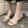 Women's Summer  New Style French-Cute High-Heeled Sandals Versatile Outerwear Non-Tiring With Skirt One-Piece Roman Shoes