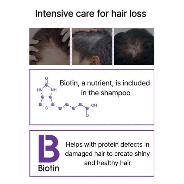 HOLIKA HOLIKA Шампунь против выпадения волос с биотином 390 мл / 13,19 жидких унций. (3 варианта)