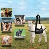 Nylon Pet Weighing Sling with Heavy Duty Goat Harness Livestock Scale Sling for Goats Sheep Calves