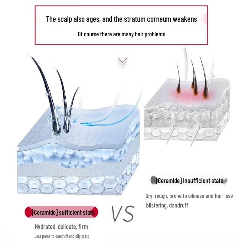 Sulei Amino Acid Scalp Care Shampoo & Conditioner Set