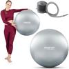 Exercise Ball 65 Cm NS-951 Silver