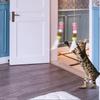 Cat Plush Teaser Stick Hanging Door Interactive Play Chase Exercise Toys Pet Supplies For Indoor