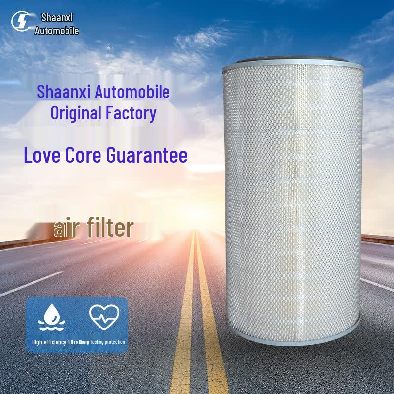 SHACMAN Vehicle Filters and Maintenance Kits