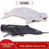 Детские модели морских животных: Фигурки белухи и кашалота