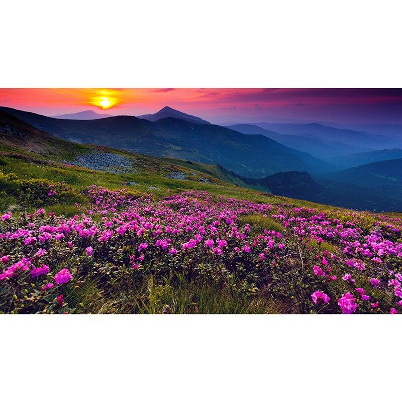 DIY 5D алмазная живопись закат пляж Алмазная вышивка вид на море вышивка крестом полная круглая дрель искусство домашний декор ручной подарок