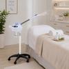 Cosmetic Touch Steamer for Oxygenation and Softening of the Skin. Steam Opening of Pores with Ozone for Better Care. For Hair Salon