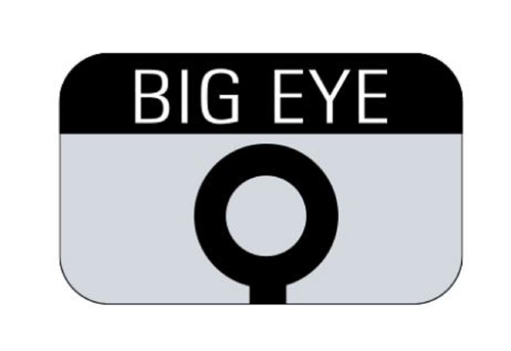 Sasame F-551 Spoon IST Size 8 (6792)