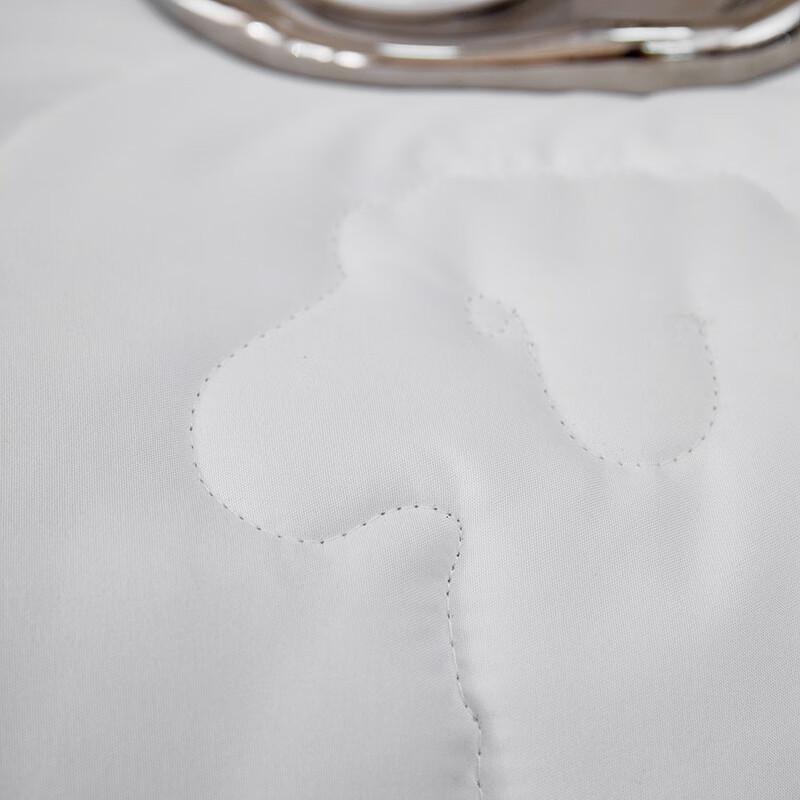 BGM Soft Warm New Zealand Wool Quilt