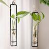 Creative Glass Vase Home Living Room Wall Hanging Creative Hydroponic Plant Vase Nordic Decorative Transparent Flower Pot