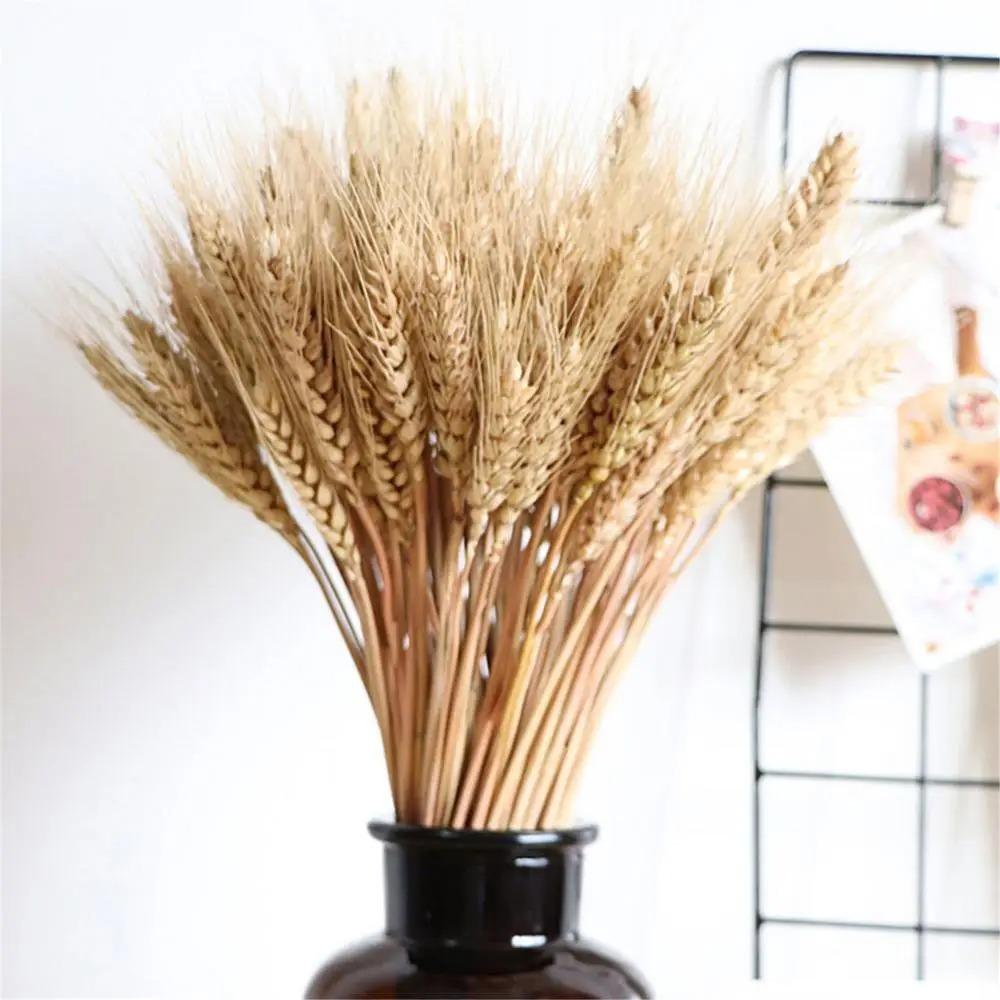 50pcs Natural Dried Wheat Stalks Rustic Dried Flowers Dry Wheat Spikes Home Kitchen Decoration