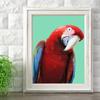 Colorful Parrot Poster Beautiful Bird Wall Art Animals Pictures Canvas Print Living Room Home Aesthetics Decor Painting Cuadros