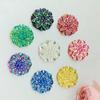 20pcs 18mm Round Flower AB Resin Crystal Strass Applique and  2 Holes Buttons for Diy Clothing - HA27