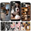 Милый щенок боксера TPU Чехол-оболочка для iPhone 17 Air 15 16 14 13 12 Pro Max 11 Pro Max Plus Чехол для телефона