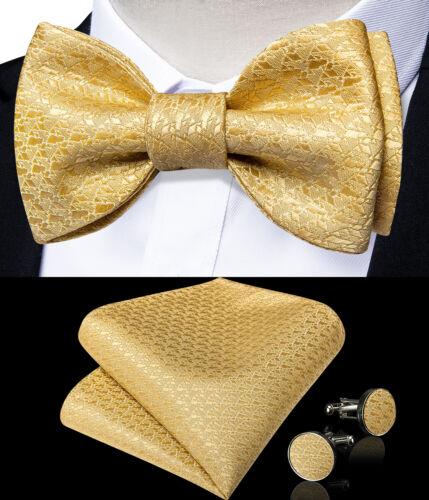 Мужской шелковый галстук-бабочка, синий регулируемый галстук-бабочка, набор запонок с цветочным принтом пейсли