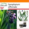 Garden in the Bag - Окопник - 15 семян - С субстратом в подходящем стоячем пакете - Symphytum officinale