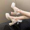 Popular Retro Pearl Bow Mary Jane Shoes Female 2024 Spring Autumn Summer New Thick Heel Round Head Sweet High Heels Shoe Pumps