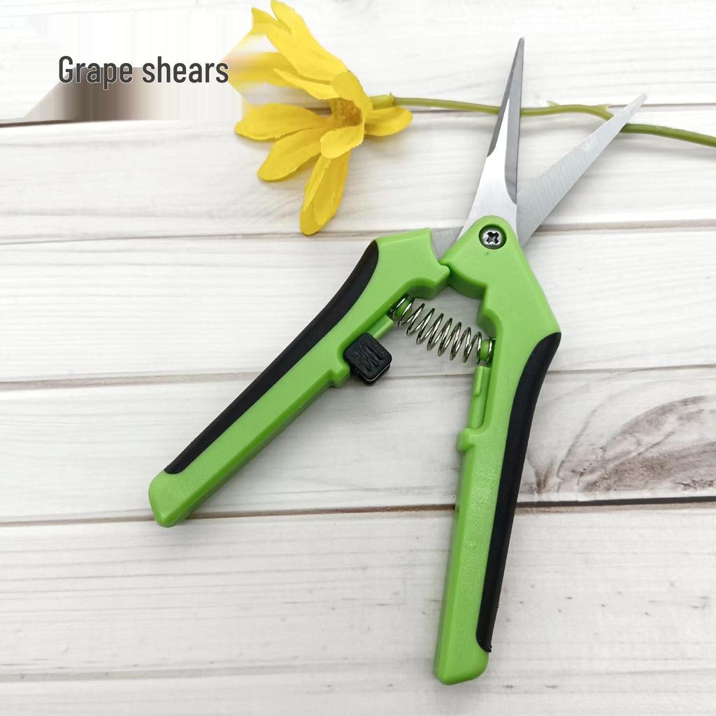 Ножницы для обрезки винограда и сада из нержавеющей стали
