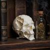 Украшение 'Череп на Хэллоуин', Фигурка в форме черепа инопланетянина из синтетической смолы, Реалистичная скульптура с костяными деталями, Настольное украшение для вечеринки