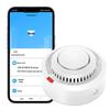 Tuya Wi-Fi Smart Smoke & Fire Detector