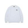 THE NORTH FACE Daily Sweatshirts Sweatshirt Men's Light Gray NM5MQ05B