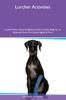 Книга Lurcher Activities Lurcher Tricks, Games & Agility Includes : Lurcher Beginner To Advanced Tricks, Fun Games, Agility and More