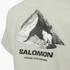 SALOMON УНИ футболка унисекс червячно-серый C28023