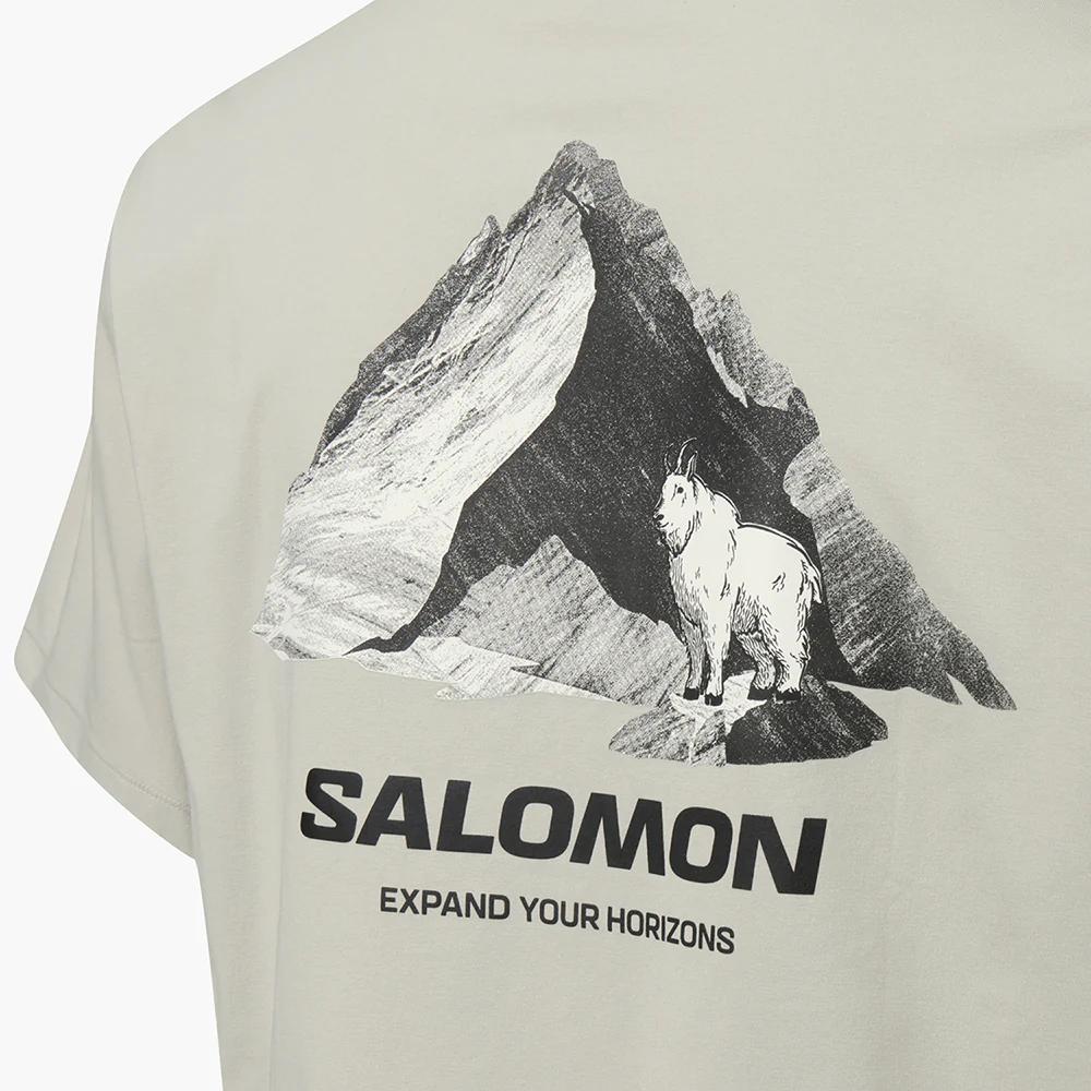 SALOMON УНИ футболка унисекс червячно-серый C28023