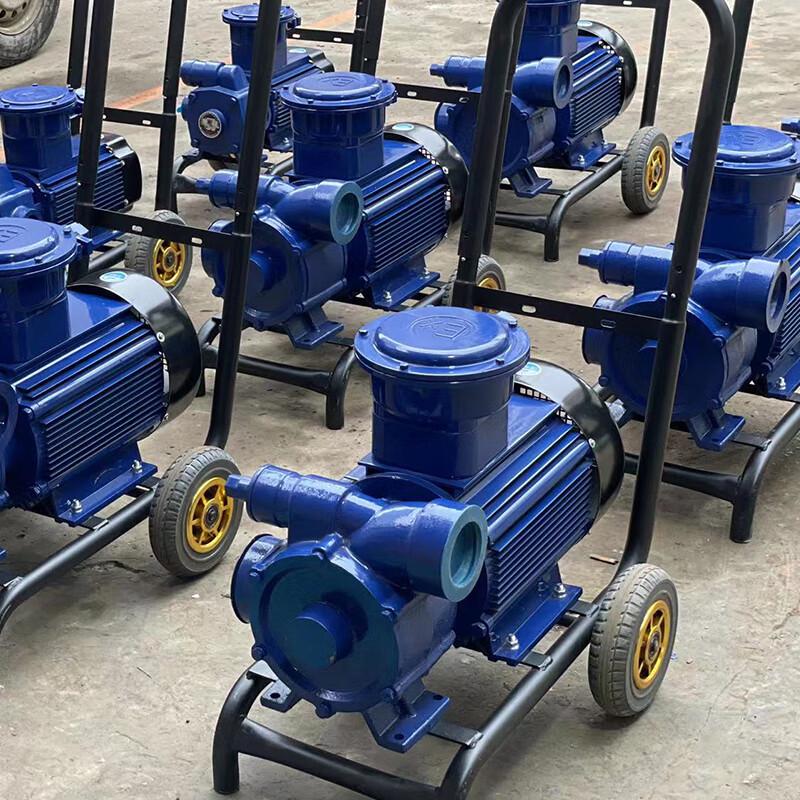 Haiwan LY Ex Mobile Electric Self-priming Vane Pump