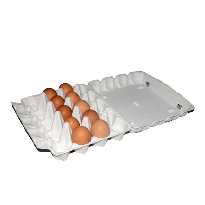 20 Pack Breathable Pulp Egg Cartons for Gift & Transport