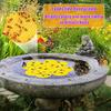 4 Pcs Floating Bee Watering Station EVA Foam Butterfly Drinking Station Bee Insect Waterer for Outdoor Garden Decor