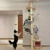Комплекс для кошек и кровать из массива дерева со встроенным деревом и компактным дизайном для больших и маленьких кошек