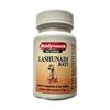 Jhansi Lashunadi Bati 80 Tablets Ayurvedic Herbal Wellness Supplement Natural Support for Daily Use