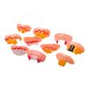 10PCS Dentures Toy Funny Realistic Plastic Teeth Decoration Props for Cosplay Costume Party Shows