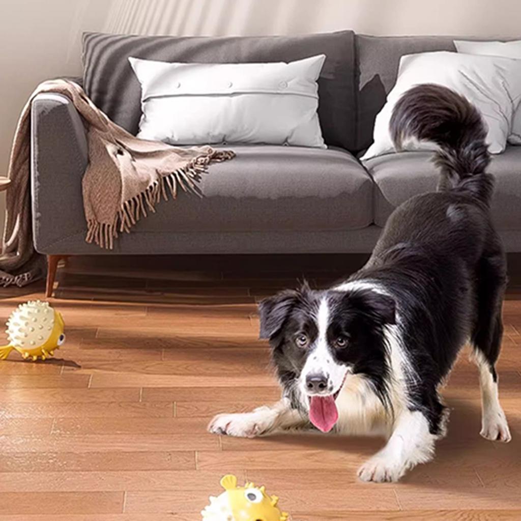 Щенячий мячик для прорезывания зубов Очистка зубов и износостойкий Любимая игрушка собаки Мячик Не гниет Мячик-игрушка Игрушка