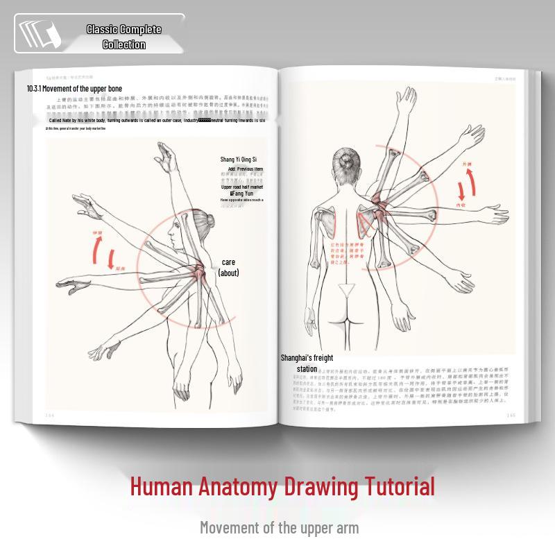 Полное руководство по анатомии человека: Справочник по рисованию и скетчингу для начинающих
