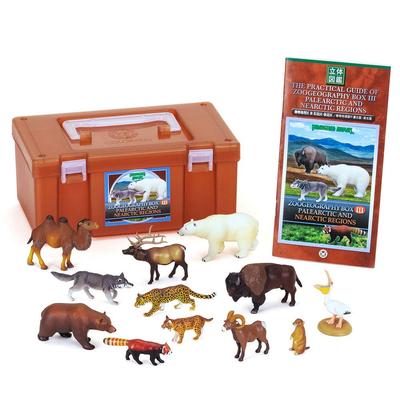 Calorata Животная География Зона 3 Фигурка 3D Энциклопедия Зон Старого Севера и Нового Севера 12 Видов Включает Реалистичную Фигурку Коробка Игрушка Образовательная