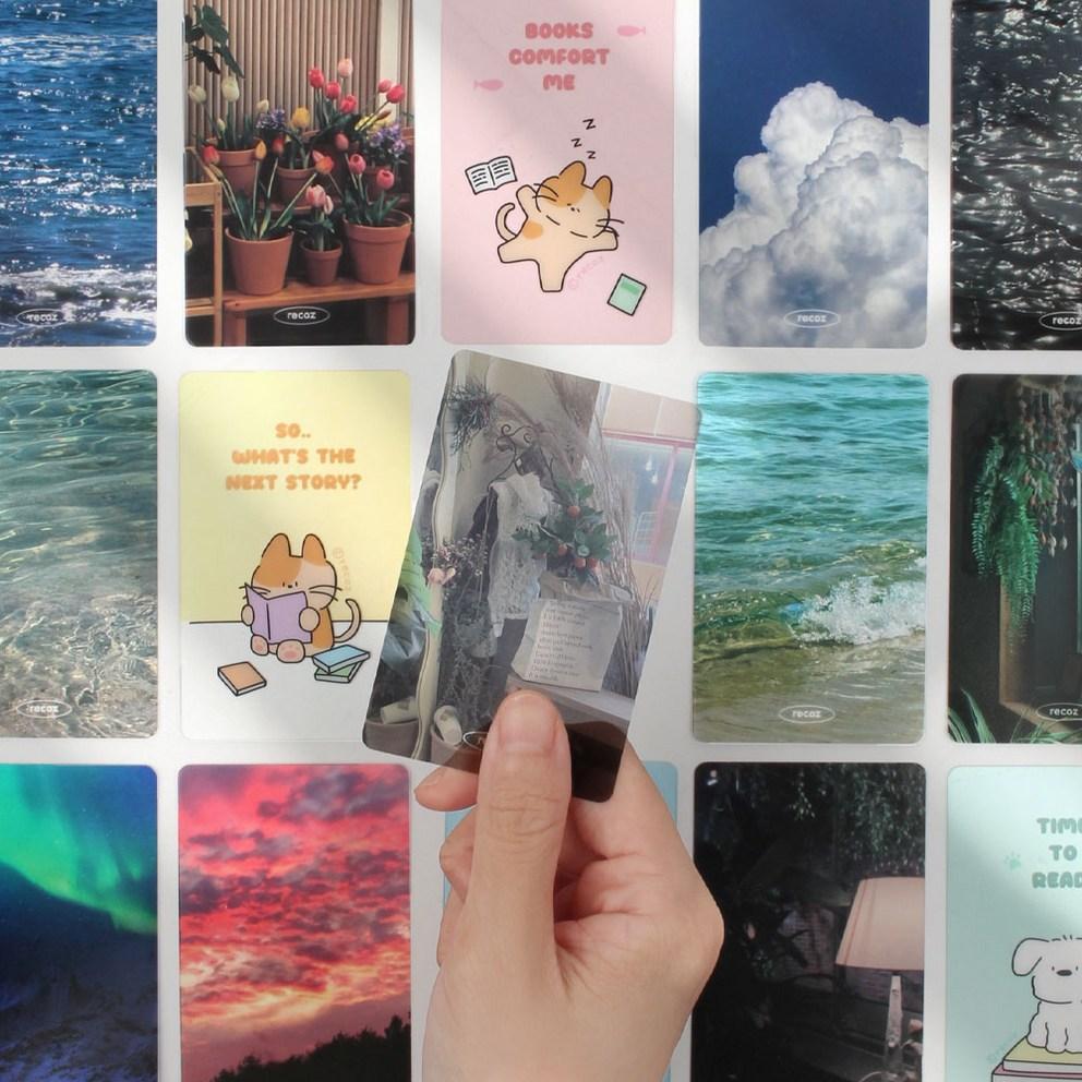 Набор из 4 прозрачных фотокарточек-закладок Ricos, Лили и Коко, 1 набор