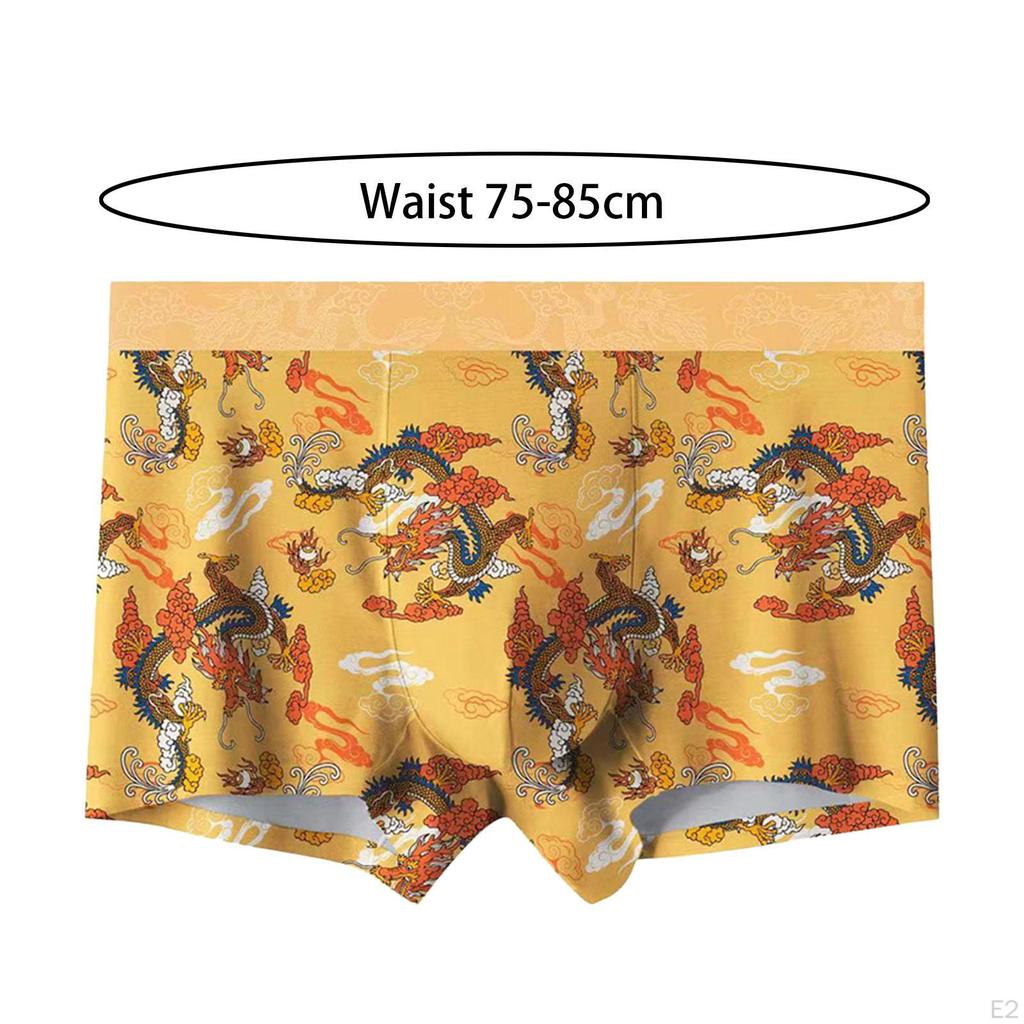 Трусы с принтом дракона, трусы, мужское нижнее белье, пляжная одежда, ночное белье, шорты 2XL