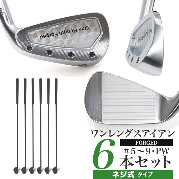 forged soft made in Hyogo Prefecture birthplace of golf set One-length irons, iron, screw-type closure, Ichikawa-cho, (the clubs), 6-piece (5-9, PW),
