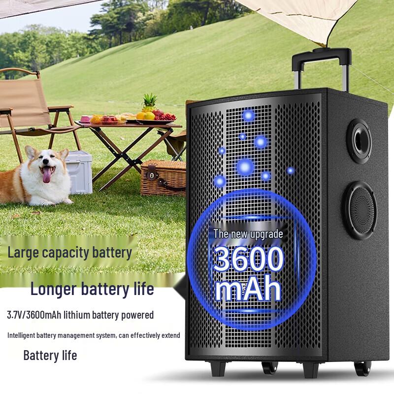 Suoai SA-X72 8-дюймовая портативная караоке-колонка с двумя микрофонами